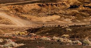 门德斯世界波破门 巴黎圣日耳曼战平里尔