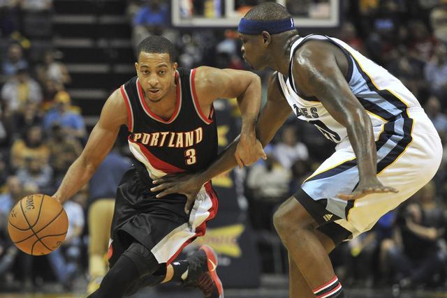 温网的草地 温网的草地